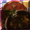Saucealamenthe.gif (103133 octets)