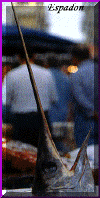 espadon.gif (85552 octets)