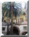 palerme_2003_06.jpg (95604 octets)